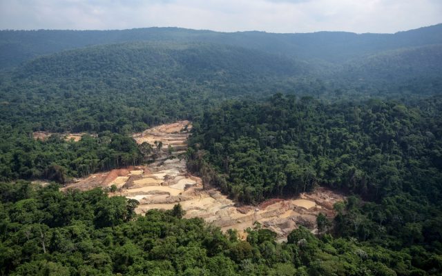 Preservação Notável: Terras Indígenas Registraram Menos de 1% de Desmatamento em Quase Quatro Décadas