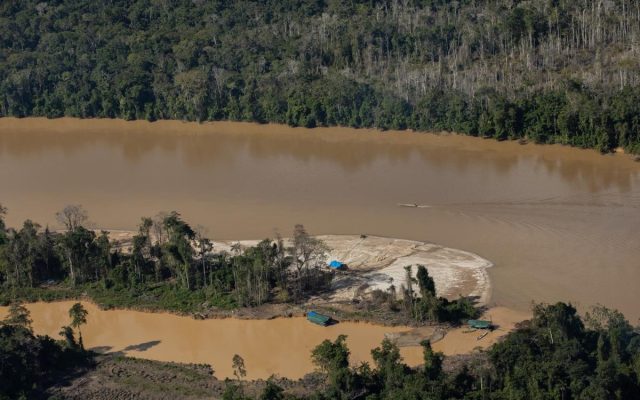 Violência na Terra Indígena Yanomami: Garimpeiros Executados a Tiros no Rio Uraricoera