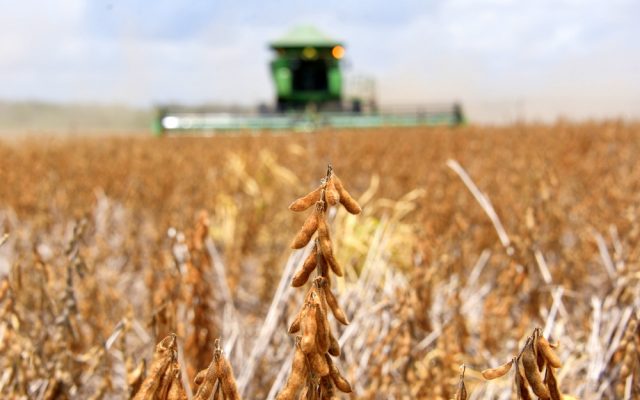 Governo de Roraima impulsiona produção rural e agronegócio com expressivos investimentos