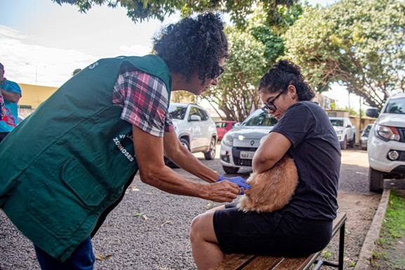 Vacinação antirrábica continua neste sábado em diversos pontos de Boa Vista