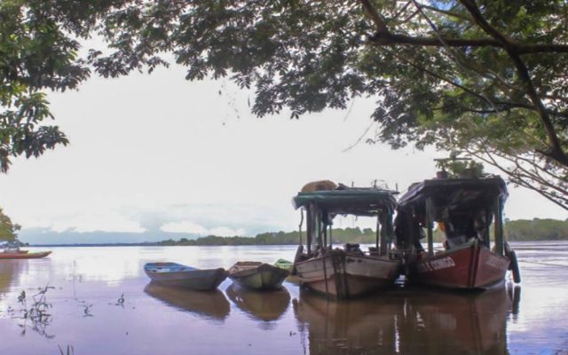 Proibição da pesca do Tucunaré da Amazônia e pesca esportiva em rios da região será tema de audiência pública