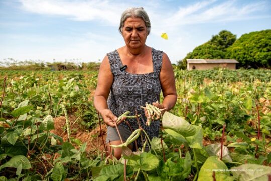 Sistema de irrigação por energia solar impulsiona produção sustentável na zona rural e comunidades indígenas de Boa Vista