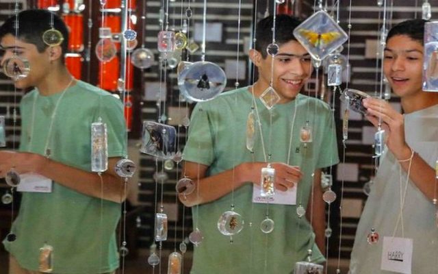 EXPERIÊNCIA SENSORIAL: Exposição ‘Amarzônia’ oferece vivência imersiva a jovens do TEAMARR
