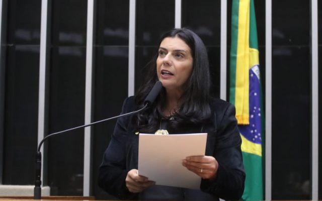 Comissão aprova prioridade para gestante vítima de violência sexual na realização de exames