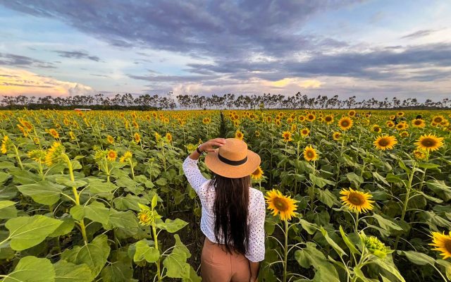 Mostra Fotográfica 9 de Julho abre celebrações dos 135 anos de Boa Vista com emoção, talento e poesia