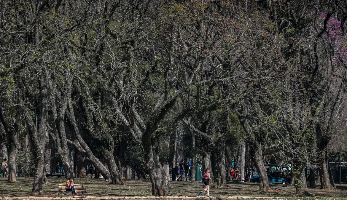 Cidade de São Paulo tem agosto mais seco desde 2020