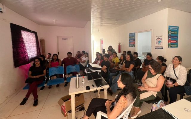 Sesau realiza oficina de gestão de base populacional e território no PlanificaSUS