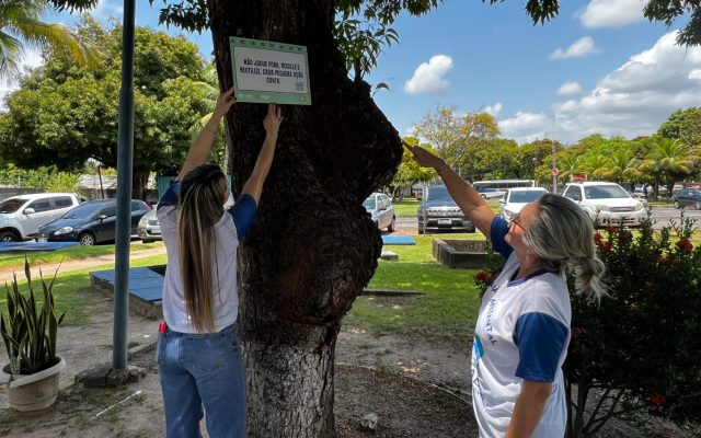Caer desenvolve projetos socioambientais para fortalecer sustentabilidade em Roraima