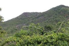 Liminar suspende criação de unidades de conservação no Cantá em Roraima