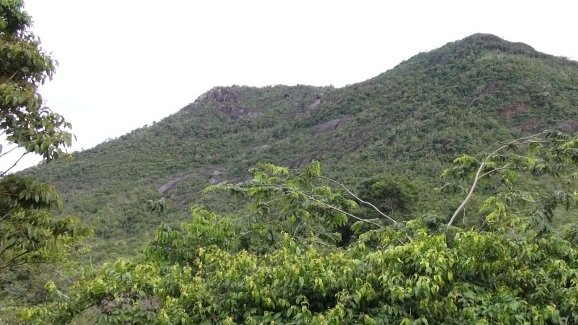 Liminar suspende criação de unidades de conservação no Cantá em Roraima
