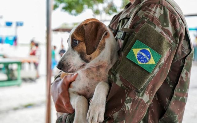 Feira de Adoção Pet ocorre no Pátio Roraima Shopping domingo