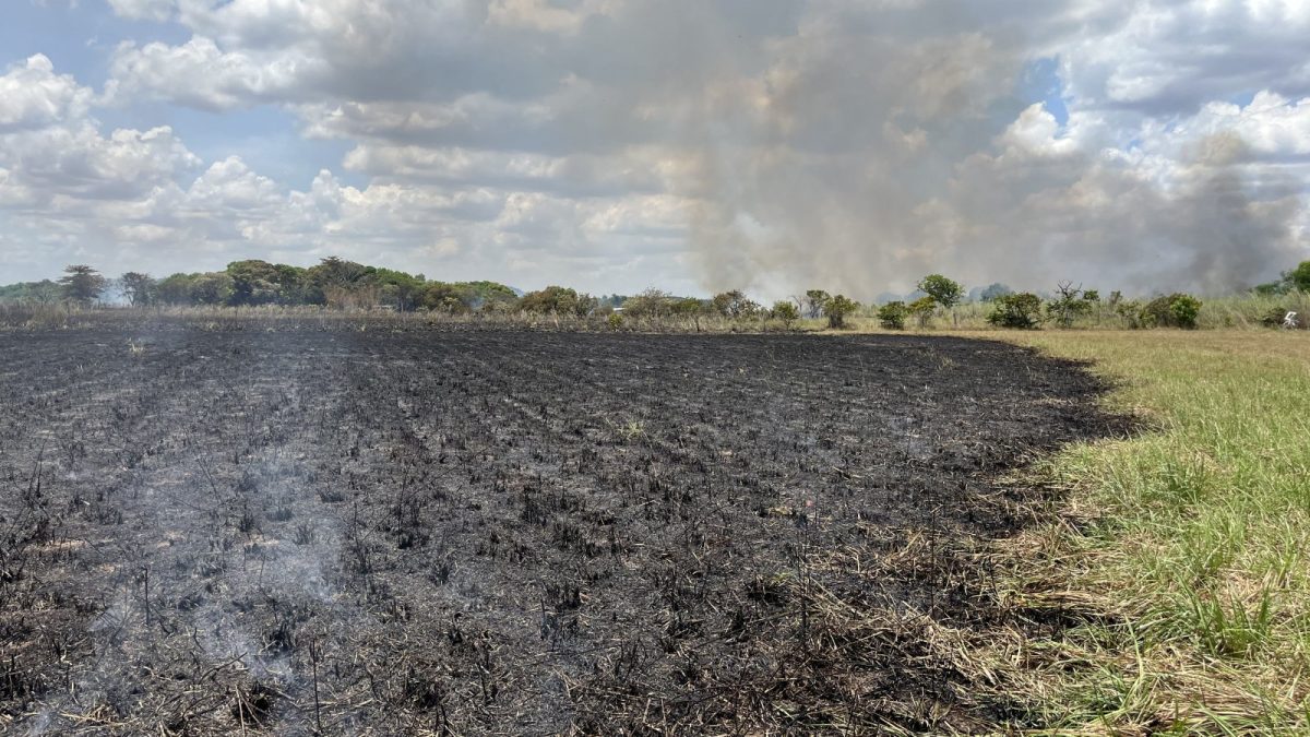 Incêndio atinge área de vegetação próxima a granjas em Boa Vista