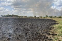Incêndio atinge área de vegetação próxima a granjas em Boa Vista