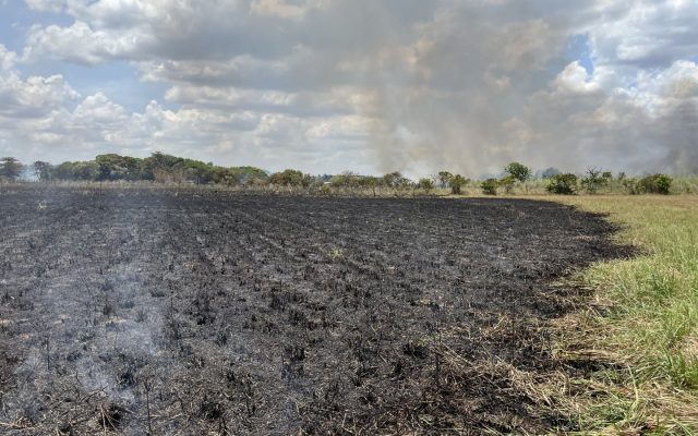 Incêndio atinge área de vegetação próxima a granjas em Boa Vista