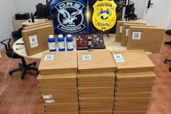 Mulher é presa com cocaína escondida em quadros decorativos em Boa Vista