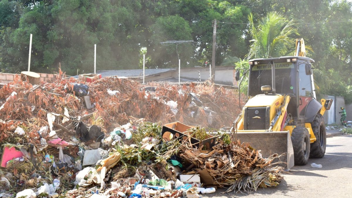Prefeitura retira galhadas e alerta risco de incêndio em Boa Vista