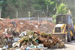 Prefeitura retira galhadas e alerta risco de incêndio em Boa Vista