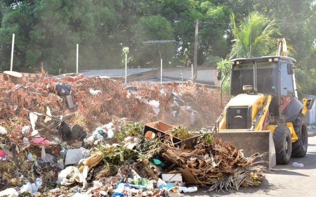 Prefeitura retira galhadas e alerta risco de incêndio em Boa Vista