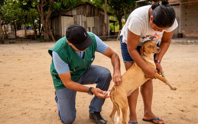 Vacinação antirrábica chega à zona rural de Boa Vista com visitas casa a casa